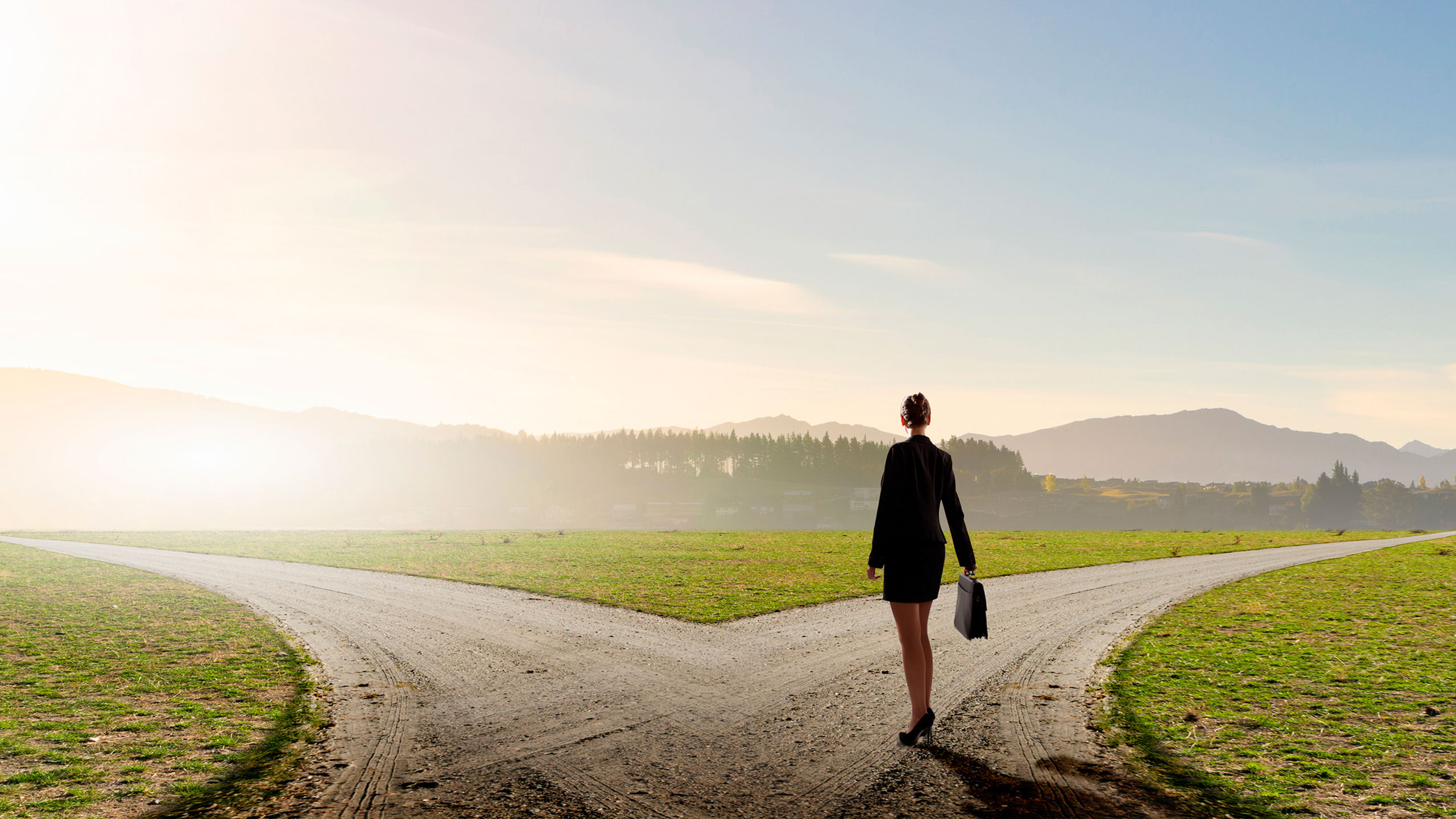 Freistehender Baum auf Wiese mit leicht bewölkt-blauem Himmel